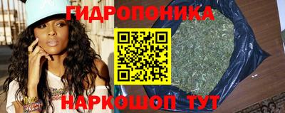 Альфа ПВП Кимры