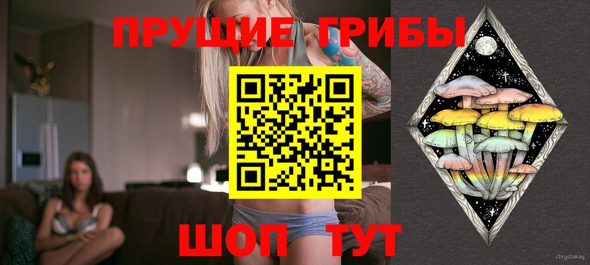 Псилоцибиновые грибы Psilocybe  Вход с VPN  Коммунар 